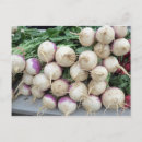 Pesquisar por nabos cartoes postais Legumes