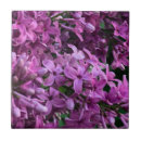 Pesquisar por lilases azulejos Floral