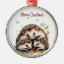 Pesquisar por hedgehog ornamentos Natureza