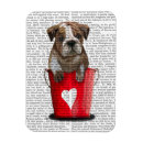 Pesquisar por cachorrinho imas Buldogue