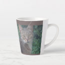 Pesquisar por catlovers canecas Fotografia de gato