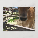 Pesquisar por juvenil convites Juventude