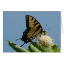 Pesquisar por lepidoptera Amarelo