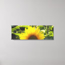 Pesquisar por girassol impressão de canvas Verão