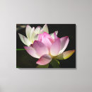 Pesquisar por flor lótus de impressão de canvas Qualquer pessoa