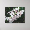 Pesquisar por icone impressão de canvas Floral