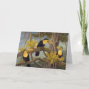 Pesquisar por wildlife cartoes Tropical
