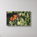 Pesquisar por natureza em canvas impressão de canvas Laranja