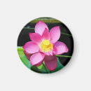 Pesquisar por meditação imas Rosa
