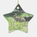 Pesquisar por wild ornamentos Selvagem