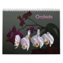 Pesquisar por orquídea calendarios Calendário de orquídeas
