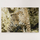 Pesquisar por leopardo quebra cabecas Fotografia