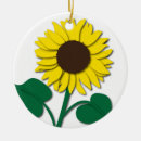 Pesquisar por flores dos desenhos animados ornamentos Primavera