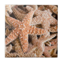 Pesquisar por estrela mar azulejos Animais