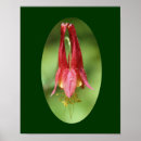 Pesquisar por flores pósteres Mães