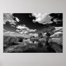 Pesquisar por kruger Park