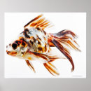 Pesquisar por posters dos peixes pôsteres pósteres Criaturas do sealife