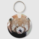 Pesquisar por kawaii porta chaves Qualquer pessoa