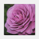 Pesquisar por florist imas Qualquer pessoa