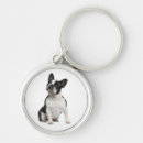 Pesquisar por frenchie acessorios Cachorro
