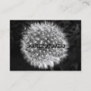 Pesquisar por dente leão de cartao de visita Natureza