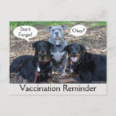 Pesquisar por malandro cartoes postais Para todos