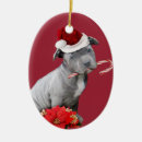 Pesquisar por touro vermelho ornamentos Animal