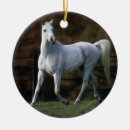 Pesquisar por cavalo árabe ornamentos Foto