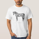 Pesquisar por árabe do cavalo roupas Árabes