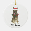 Pesquisar por german shepherd ornamentos Aquarela