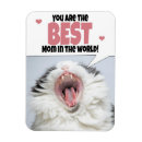 Pesquisar por gritando imas Animal