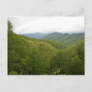 Pesquisar por appalachian cartoes convites Carolina