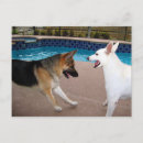 Pesquisar por sua majestade cartoes postais Real