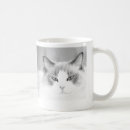 Pesquisar por gato ragdoll canecas Macio