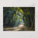 Pesquisar por sudeste cartoes Floresta