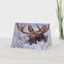 Pesquisar por wyoming cartoes Vadia