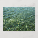 Pesquisar por marinho ou azul marinho cartoes postais Fotografia