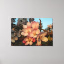 Pesquisar por cor rosa da flor de impressão de canvas Qualquer pessoa