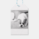 Pesquisar por inglês etiquetas de presente Buldogue