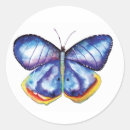 Pesquisar por mariposa adesivos Aquarela
