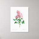Pesquisar por ilustração vintage impressão de canvas Flores