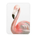 Pesquisar por flamingo tropical imas Aquarela