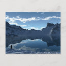 Pesquisar por a antártica cartoes postais Animal