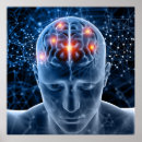 Pesquisar por cérebro humano pôsteres pósteres Saúde