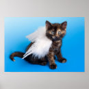 Pesquisar por anjo gato pôsteres pósteres Animais de estimação