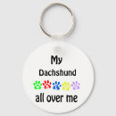 Pesquisar por do dachshund chaveiros Doxie