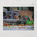 Pesquisar por pomada cartoes postais Animal