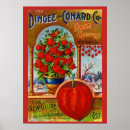 Pesquisar por lanternas chinesas pôsteres pósteres Lanterna chinesa