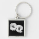 Pesquisar por espinho chaveiros Natureza