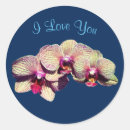 Pesquisar por orquídeas adesivos Qualquer pessoa